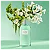 Perfume Nº3 Iris Luminoso EDT - Victorio e Lucchino - Imagem 2