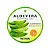 Hidratante Calmante Face e Corpo Aloe Vera Soothing Gel 300ml - Prettyskin - Imagem 1