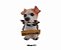 Enfeite Cachorros Miniatura Decorativo Com Placa De Gratidão - Imagem 1