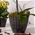 Jogo 3un Vaso Plantas Cachepot 16x12cm Diversas Cores - Imagem 2