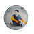 Bottom 01 Backhand - Imagem 1