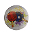 Bottom 07 RAQUETES - Imagem 1