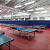 Piso Esportivo Para Tenis De Mesa 4.5mm - Imagem 2
