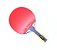 Raquete DHS 5002 - com capa (Ma Long) - Imagem 1