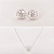 Conjunto Brinco Flor e Colar Ponto de Luz - Imagem 1