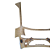 Cupula dianteira frontal onibus Marcopolo Senior 2010-2017 - Imagem 5