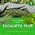 Erva Mate Carvalho Eucalipto Plus  (500g) - Imagem 1
