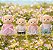 Casinha Feliz Família dos Cachorrinhos ZP01416 - Zoop Toys - Imagem 4