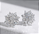 Conjunto Moissanite - Imagem 4