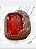 Anel Cravejado - Imagem 1