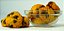 Cookies Gotas de Chocolate 200g - Imagem 3