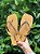 SCHUTZ CHINELO LOGO STRASS DOURADO - Imagem 1