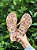 SCHUTZ CHINELO TRIANGLE BEGE - Imagem 1