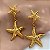 BRINCO ESTRELAS PENDENTES DOURADO AÇO 316L ⭐️ - Imagem 1