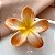 PRESILHA FLOR LÍRIO COLORIDO BIJU - Imagem 3