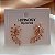 BRINCO EAR CUFF FOLHAGEM DE ZIRCÔNIAS COLOR DOURADO BIJU - Imagem 4