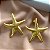 BRINCO ESTRELA DO MAR LISO DOURADO AÇO 316L⭐️ - Imagem 3