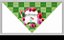 Bandanas Personalizadas Grandes - Imagem 8