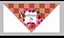 Bandanas Personalizadas Grandes - Imagem 6