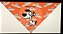 Bandanas Personalizadas Grandes - Imagem 3