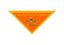 Kit Bandanas Personalizadas 500 unidades - Imagem 3