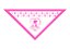 Kit Bandanas Personalizadas 500 unidades - Imagem 1
