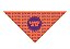 Bandanas Personalizadas Gigantes C/10 - Imagem 17