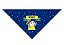 Bandanas Pequenas Copa 2026 - Imagem 4