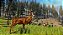 Jogo Cabela's North American Adventures - PS3 - Imagem 4