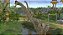 Jogo Jurassic Park: Operation Genesis - Xbox - Imagem 2