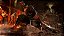 Jogo Dead or Alive 6 - PS4 (LACRADO) - Imagem 2