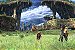 Jogo Xenoblade Chronicles - Wii - Imagem 4