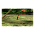 Jogo Pikmin 1 + 2 - Switch - Imagem 2