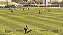Jogo Fifa Soccer 2005 - GameCube - Imagem 2