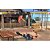Jogo Backyard Wrestling: Don't Try This at Home - Xbox - Imagem 3