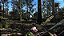 Jogo Cabela's Big Game Hunter 2012 - Wii - Imagem 2