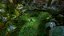 Jogo Brave - Wii - Imagem 3