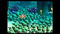 Jogo Finding Nemo - PS2 - Imagem 3