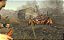 Jogo Fallout New Vegas - Xbox 360 - Imagem 3