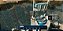 Jogo Screamride - Xbox 360 - Imagem 3