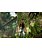Jogo Uncharted: Golden Abyss - PS Vita (Japonês) - Imagem 3