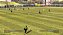 Jogo FIFA Soccer 2005 - GameCube (Lacrado, NC Games) - Imagem 2