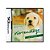 Jogo Nintendogs: Lab & Friends - DS - Imagem 1