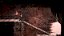 Jogo Salt and Sanctuary - Switch - Imagem 3