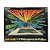 Console Magnavox Odyssey 2 - Philips - Imagem 3