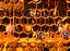 Jogo Donkey Kong Country 2: Diddy's Kong Quest - SNES (Japonês) - Imagem 3