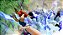 Jogo One Piece: Pirate Warriors 4 - PS4 - Imagem 2