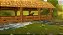 Jogo Petz: Horse Club - Wii - Imagem 4