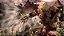 Jogo Asura's Wrath - PS3 - Imagem 4