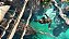 Jogo Assassin's Creed IV: Black Flag - Wii U - Imagem 2